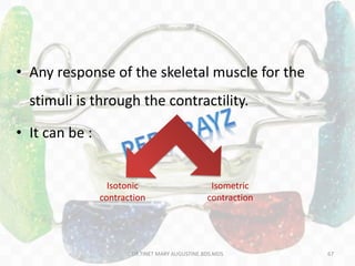 67
• Any response of the skeletal muscle for the
stimuli is through the contractility.
• It can be :
Isotonic
contraction
Isometric
contraction
DR.TINET MARY AUGUSTINE.BDS.MDS
 