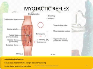 MYOTACTIC REFLEX
• Functional significance :
- Serves as a mechanism for upright posture/ standing
- Postural rest position of mandible DR.TINET MARY AUGUSTINE.BDS.MDS 72
 