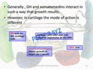 • Generally , GH and somatomedins interact in
such a way that growth results.
• However, in cartilage the mode of action is
different
80
GH acts on
the cartilage
cells
cartilage cells alter and now
become responsive to the SMs
SMs acts
growth of cartilages
(hence growth in
height etc ) results
DR.TINET MARY AUGUSTINE.BDS.MDS
 