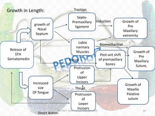 Growth in Length:
growth of
Nasal
Septum
Increased
size
Of Tongue
Labio
narinary
Muscles
Protrusion
of
Upper
Incisors
Protrusion
of
Lower
Incisors
Post-ant shift
of premaxillary
bones
Growth of
Pre
Maxillary
extremity
Growth of
Pre
Maxillary
Suture,
Growth of
Maxillo
Palatine
suture
Release of
STH
Somatomedin
Septo-
Premaxillary
ligament
Biomechanical
Induction
Traction
ThrustThrust
Thrust
Direct Action
DR.TINET MARY AUGUSTINE.BDS.MDS 84
 