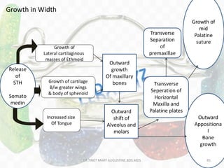 Growth in Width
Release
of
STH
Somato
medin
Growth of
Lateral cartilaginous
masses of Ethmoid
Increased size
Of Tongue
Growth of cartilage
B/w greater wings
& body of sphenoid
Outward
growth
Of maxillary
bones
Outward
shift of
Alveolus and
molars
Transverse
Separation
of
premaxillae
Transverse
Seperation of
Horizontal
Maxilla and
Palatine plates
Growth of
mid
Palatine
suture
Outward
Appositiona
l
Bone
growth
DR.TINET MARY AUGUSTINE.BDS.MDS 85
 