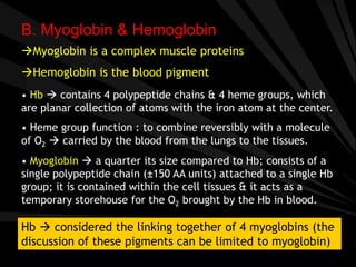 B. Myoglobin & Hemoglobin
Myoglobin is a complex muscle proteins
Hemoglobin is the blood pigment
• Hb  contains 4 polypeptide chains & 4 heme groups, which
are planar collection of atoms with the iron atom at the center.
• Heme group function : to combine reversibly with a molecule
of O2  carried by the blood from the lungs to the tissues.
• Myoglobin  a quarter its size compared to Hb; consists of a
single polypeptide chain (±150 AA units) attached to a single Hb
group; it is contained within the cell tissues & it acts as a
temporary storehouse for the O2 brought by the Hb in blood.
Hb  considered the linking together of 4 myoglobins (the
discussion of these pigments can be limited to myoglobin)
 