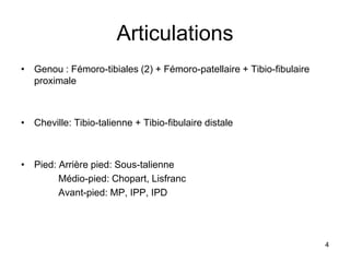 Articulations
• Genou : Fémoro-tibiales (2) + Fémoro-patellaire + Tibio-fibulaire
proximale
• Cheville: Tibio-talienne + Tibio-fibulaire distale
• Pied: Arrière pied: Sous-talienne
Médio-pied: Chopart, Lisfranc
Avant-pied: MP, IPP, IPD
4
 