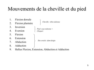 5
Mouvements de la cheville et du pied
1. Flexion dorsale
2. Flexion plantaire
3. Inversion
4. Eversion
5. Flexion
6. Extension
7. Abduction
8. Adduction
9. Hallux Flexion, Extension, Abduction et Adduction
Des orteils: idem doigts
Cheville : tibio-talienne
Pied: sous-talienne +
Chopart
 