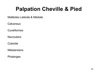 10
Palpation Cheville & Pied
Malléoles Latérale & Médiale
Calcaneus
Cunéiformes
Naviculaire
Cuboïde
Métatarsiens
Phalanges
 