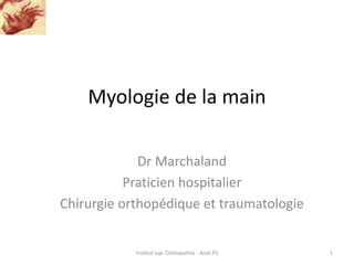 Myologie de la main
Dr Marchaland
Praticien hospitalier
Chirurgie orthopédique et traumatologie
Institut sup. Ostéopathie - Anat P1 1
 