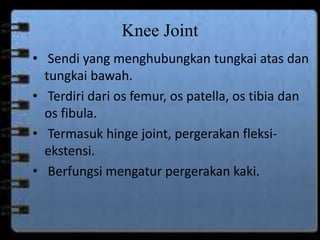 Knee Joint 
• Sendi yang menghubungkan tungkai atas dan 
tungkai bawah. 
• Terdiri dari os femur, os patella, os tibia dan 
os fibula. 
• Termasuk hinge joint, pergerakan fleksi-ekstensi. 
• Berfungsi mengatur pergerakan kaki. 
 