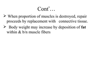 Cont’…
 When proportion of muscles is destroyed, repair
 proceeds by replacement with connective tissue.
 Body weight may increase by deposition of fat
 within & b/n muscle fibers
 