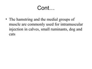 Cont…
• The hamstring and the medial groups of
  muscle are commonly used for intramuscular
  injection in calves, small ruminants, dog and
  cats
 
