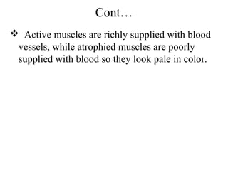 Cont…
 Active muscles are richly supplied with blood
 vessels, while atrophied muscles are poorly
 supplied with blood so they look pale in color.
 