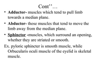 Cont’’…
• Adductor- muscles which tend to pull limb
  towards a median plane.
• Abductor- those muscles that tend to move the
  limb away from the median plane.
• Sphinctor -muscles, which surround an opening,
  whether they are striated or smooth.
Ex. pyloric sphincter is smooth muscle, while
  Orbucularis oculi muscle of the eyelid is skeletal
  muscle.
 