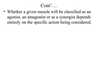 Cont’…
• Whether a given muscle will be classified as an
  agonist, an antagonist or as a synergist depends
  entirely on the specific action being considered.
 