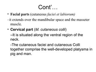 Cont’…
• Facial parts (cutaneous faciei et labiorum)
–it extends over the mandibular space and the masseter
  muscle.
• Cervical part (M. cutaneous colli)
  –It is situated along the ventral region of the
  neck.
  -The cutaneous faciei and cutaneous Colli
  together comprise the well-developed platysma in
  pig and man.
 