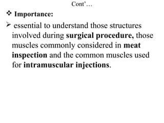 Cont’…
 Importance:
 essential to understand those structures
 involved during surgical procedure, those
 muscles commonly considered in meat
 inspection and the common muscles used
 for intramuscular injections.
 
