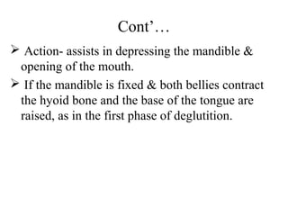 Cont’…
 Action- assists in depressing the mandible &
 opening of the mouth.
 If the mandible is fixed & both bellies contract
 the hyoid bone and the base of the tongue are
 raised, as in the first phase of deglutition.
 