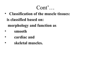 Cont’…
• Classification of the muscle tissues:
  is classified based on:
   morphology and function as
•      smooth
•      cardiac and
•      skeletal muscles.
 