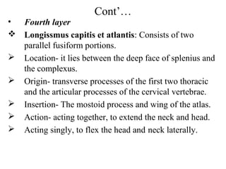 Cont’…
• Fourth layer
 Longissmus capitis et atlantis: Consists of two
  parallel fusiform portions.
 Location- it lies between the deep face of splenius and
  the complexus.
 Origin- transverse processes of the first two thoracic
  and the articular processes of the cervical vertebrae.
 Insertion- The mostoid process and wing of the atlas.
 Action- acting together, to extend the neck and head.
 Acting singly, to flex the head and neck laterally.
 
