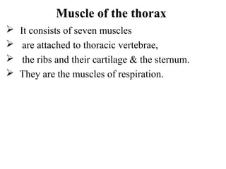 Muscle of the thorax
   It consists of seven muscles
    are attached to thoracic vertebrae,
    the ribs and their cartilage & the sternum.
   They are the muscles of respiration.
 