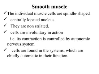 Smooth muscle
The individual muscle cells are spindle-shaped
 centrally located nucleus.
 They are non striated.
 cells are involuntary in action
  i.e. its contraction is controlled by autonomic
 nervous system.
 cells are found in the systems, which are
 chiefly automatic in their function.
 