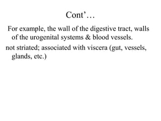 Cont’…
 For example, the wall of the digestive tract, walls
  of the urogenital systems & blood vessels.
not striated; associated with viscera (gut, vessels,
  glands, etc.)
 