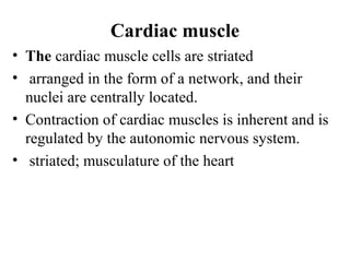 Cardiac muscle
• The cardiac muscle cells are striated
• arranged in the form of a network, and their
  nuclei are centrally located.
• Contraction of cardiac muscles is inherent and is
  regulated by the autonomic nervous system.
• striated; musculature of the heart
 