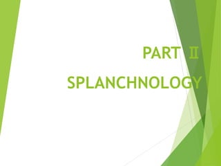 PART Ⅱ
SPLANCHNOLOGY
 