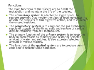 Functions:
The main functions of the viscera are to fulfill the
metabolism and maintain the life of the species.
 The alimentary system is adapted to ingest foods, to
secrete enzymes that modify the sizes of food molecules, to
absorb the products of this digestive action, and to eliminate
the unused residues.
 The respiratory system is to carry out the gas exchanges-
supply of oxygen for the living cells and remove of carbon
dioxide resulting from cell metabolism.
 The primary function of the urinary system is to keep the
body in homeostasis by removing and restoring selected
amount of water and solutes. It also excretes selected
amount of various wastes.
 The functions of the genital system are to produce germ
cells and to secrete some hormones.
 