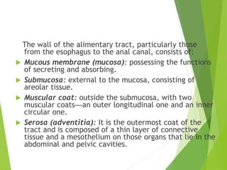 The wall of the alimentary tract, particularly those
from the esophagus to the anal canal, consists of:
 Mucous membrane (mucosa): possessing the functions
of secreting and absorbing.
 Submucosa: external to the mucosa, consisting of
areolar tissue.
 Muscular coat: outside the submucosa, with two
muscular coats—an outer longitudinal one and an inner
circular one.
 Serosa (adventitia): It is the outermost coat of the
tract and is composed of a thin layer of connective
tissue and a mesothelium on those organs that lie in the
abdominal and pelvic cavities.
 