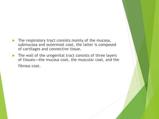  The respiratory tract consists mainly of the mucosa,
submucosa and outermost coat, the latter is composed
of cartilages and connective tissue.
 The wall of the urogenital tract consists of three layers
of tissues—the mucous coat, the muscular coat, and the
fibrous coat.
 