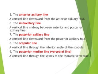 5. The anterior axillary line
A vertical line downward from the anterior axillary fold.
6. The midaxillary line
A vertical line midway between anterior and posterior
axillary line.
7. The posterior axillary line
A vertical line downward from the posterior axillary fold.
8. The scapular line
A vertical line through the inferior angle of the scapula.
9. The posterior median line (vertebral line)
A vertical line through the spines of the thoracic vertebrae.
 