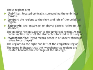 These regions are:
 Umbilical: located centrally, surrounding the umbilicus
(navel).
 Lumbar: the regions to the right and left of the umbilical
region.
 Epigastric: (epi-means on or above; gastric-refers to the
stomach).
The midline region superior to the umbilical region. As the
name implies, most of the stomach is located in this region.
 Hypochondriac: (hypo-means beneath or under; chondral
refers to cartilage)
The regions to the right and left of the epigastric region.
The name indicates that the hypochondriac regions are
located beneath the cartilage of the rib cage.
 