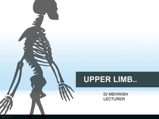 UPPER LIMB..
Dr MEHWISH
LECTURER
 