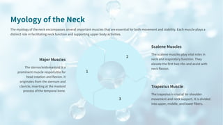 Myology & Osteology of the Neck and their function.pdf