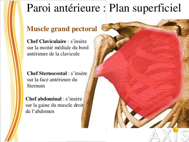 Pourquoi fait mal les reins à la grossesse 9 mois