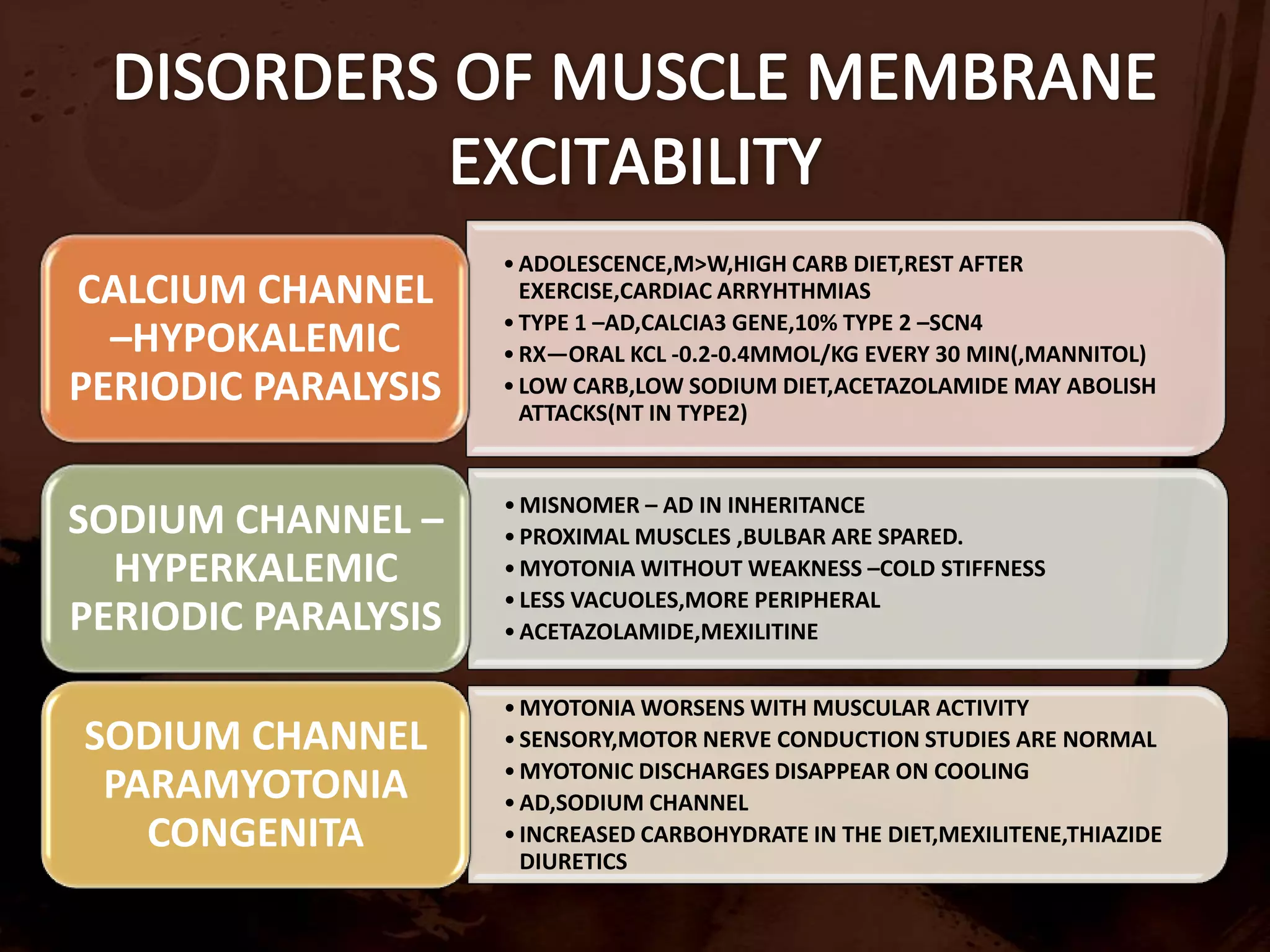 IMMUNOPATHOGENIC MECHANISMSPOLYMYOSITIS,IBM :