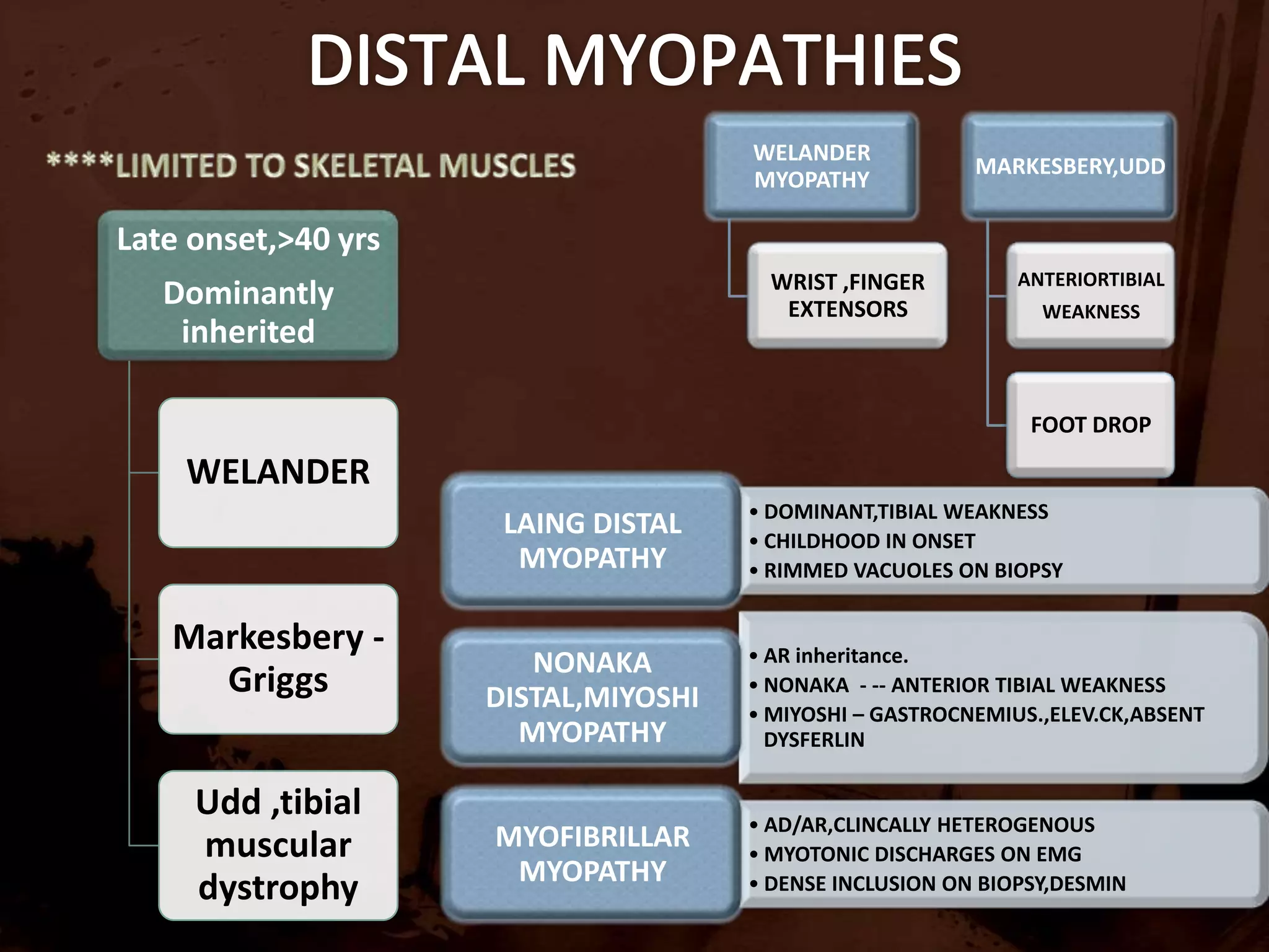 CD8 T cells,macrophages –invade and destroy MHC 1 muscle fibres(absent usually )