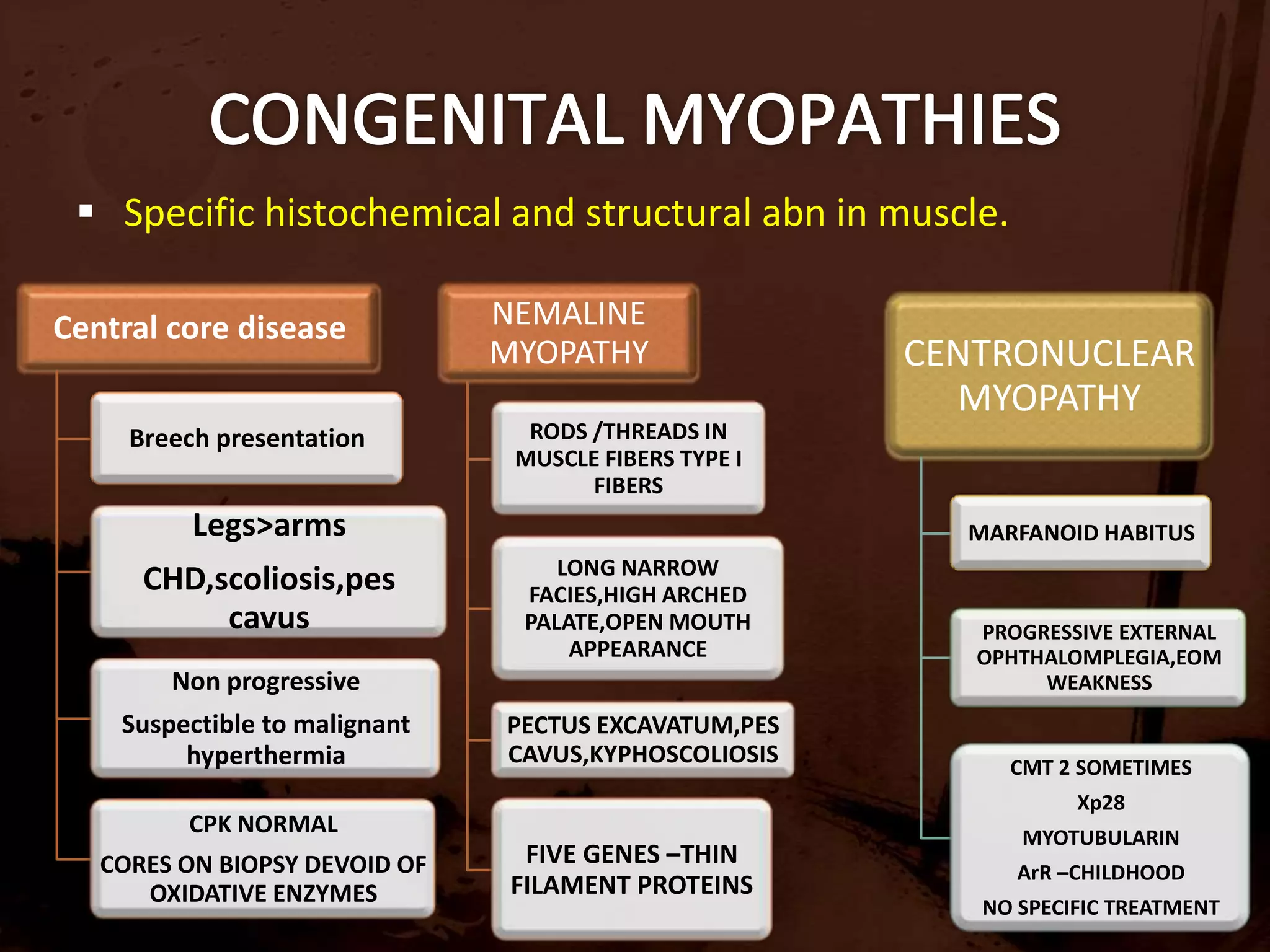 CD8/MHC 1 complex is characteristic of PM,IBM 