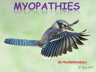 myopathies DR.PRAVEENNAGULA 