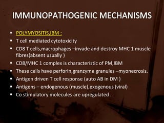 Waddling gait – b/l pelvic girdle weakness