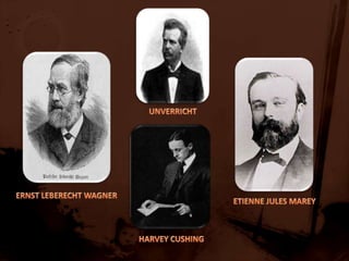       UNVERRICHTERNST LEBERECHT WAGNERETIENNE JULES MAREYHARVEY CUSHING