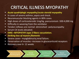 Endomysial inflammatory infiltrates  -B cells 