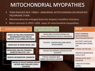 Antigens – endogenous (muscle),exogenous (viral)