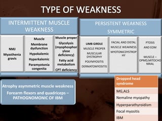 Muscle appearance – wasting ,atrophy (neurogenic)