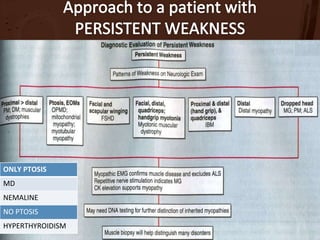 Tenderness on palpation