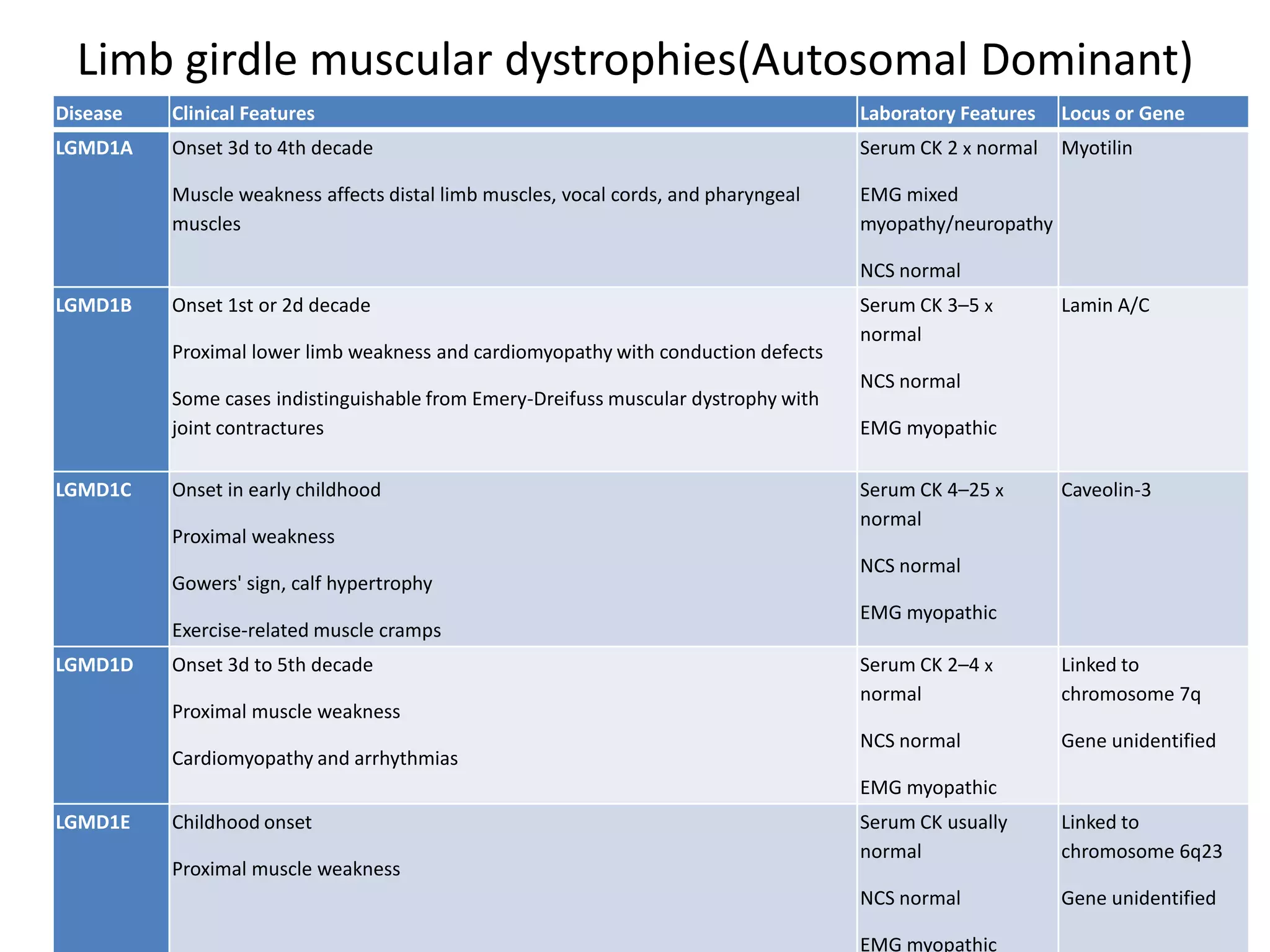Limb girdle muscular dystrophies(Autosomal Dominant)
Disease Clinical Features Laboratory Features Locus or Gene
LGMD1A Onset 3d to 4th decade
Muscle weakness affects distal limb muscles, vocal cords, and pharyngeal
muscles
Serum CK 2 x normal
EMG mixed
myopathy/neuropathy
NCS normal
Myotilin
LGMD1B Onset 1st or 2d decade
Proximal lower limb weakness and cardiomyopathy with conduction defects
Some cases indistinguishable from Emery-Dreifuss muscular dystrophy with
joint contractures
Serum CK 3–5 x
normal
NCS normal
EMG myopathic
Lamin A/C
LGMD1C Onset in early childhood
Proximal weakness
Gowers' sign, calf hypertrophy
Exercise-related muscle cramps
Serum CK 4–25 x
normal
NCS normal
EMG myopathic
Caveolin-3
LGMD1D Onset 3d to 5th decade
Proximal muscle weakness
Cardiomyopathy and arrhythmias
Serum CK 2–4 x
normal
NCS normal
EMG myopathic
Linked to
chromosome 7q
Gene unidentified
LGMD1E Childhood onset
Proximal muscle weakness
Serum CK usually
normal
NCS normal
EMG myopathic
Linked to
chromosome 6q23
Gene unidentified
 