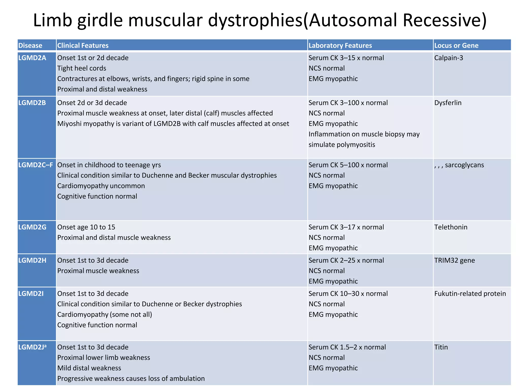 Limb girdle muscular dystrophies(Autosomal Recessive)
Disease Clinical Features Laboratory Features Locus or Gene
LGMD2A Onset 1st or 2d decade
Tight heel cords
Contractures at elbows, wrists, and fingers; rigid spine in some
Proximal and distal weakness
Serum CK 3–15 x normal
NCS normal
EMG myopathic
Calpain-3
LGMD2B Onset 2d or 3d decade
Proximal muscle weakness at onset, later distal (calf) muscles affected
Miyoshi myopathy is variant of LGMD2B with calf muscles affected at onset
Serum CK 3–100 x normal
NCS normal
EMG myopathic
Inflammation on muscle biopsy may
simulate polymyositis
Dysferlin
LGMD2C–F Onset in childhood to teenage yrs
Clinical condition similar to Duchenne and Becker muscular dystrophies
Cardiomyopathy uncommon
Cognitive function normal
Serum CK 5–100 x normal
NCS normal
EMG myopathic
, , , sarcoglycans
LGMD2G Onset age 10 to 15
Proximal and distal muscle weakness
Serum CK 3–17 x normal
NCS normal
EMG myopathic
Telethonin
LGMD2H Onset 1st to 3d decade
Proximal muscle weakness
Serum CK 2–25 x normal
NCS normal
EMG myopathic
TRIM32 gene
LGMD2I Onset 1st to 3d decade
Clinical condition similar to Duchenne or Becker dystrophies
Cardiomyopathy (some not all)
Cognitive function normal
Serum CK 10–30 x normal
NCS normal
EMG myopathic
Fukutin-related protein
LGMD2Ja Onset 1st to 3d decade
Proximal lower limb weakness
Mild distal weakness
Progressive weakness causes loss of ambulation
Serum CK 1.5–2 x normal
NCS normal
EMG myopathic
Titin
 
