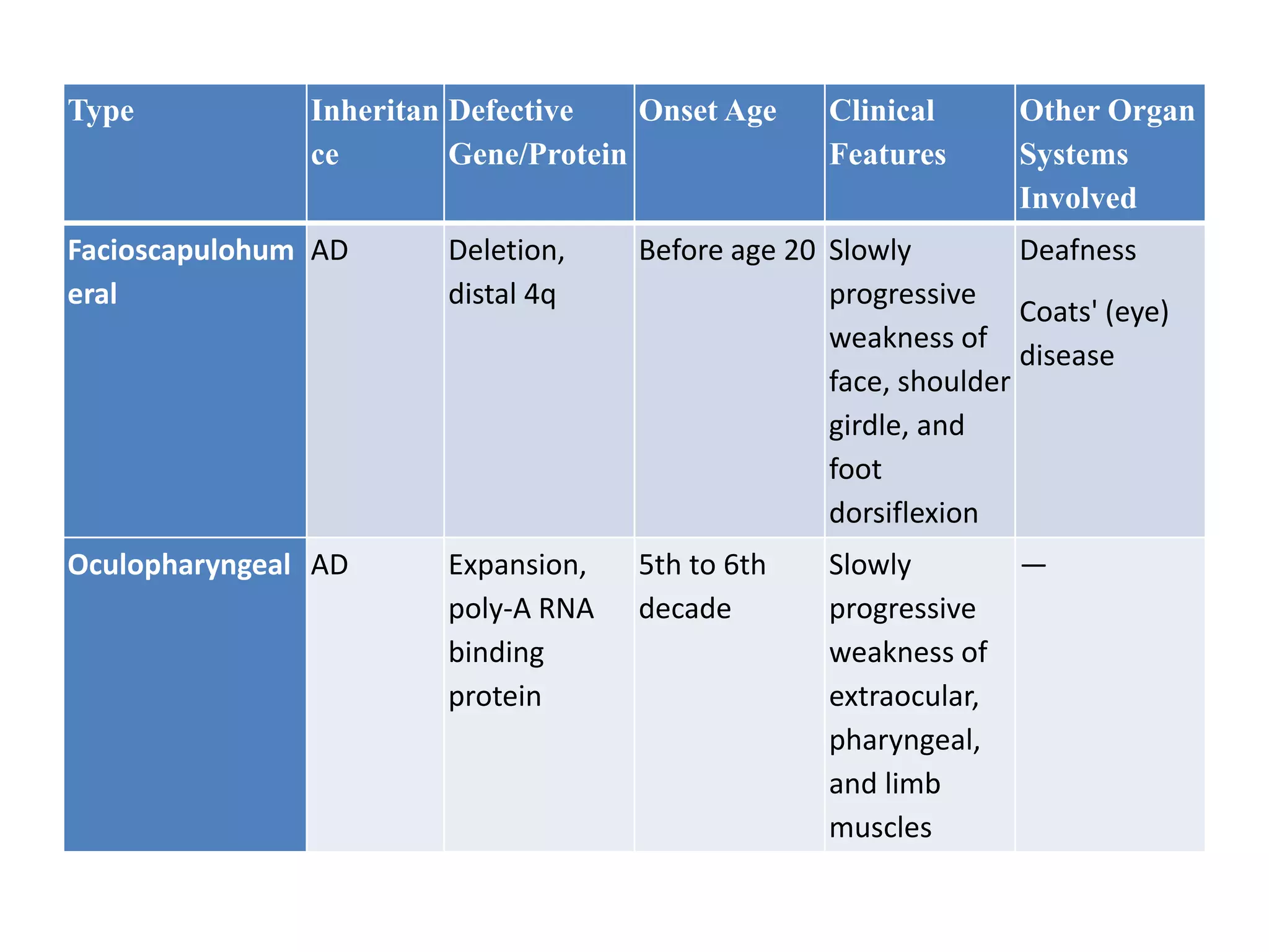 Type Inheritan
ce
Defective
Gene/Protein
Onset Age Clinical
Features
Other Organ
Systems
Involved
Facioscapulohum
eral
AD Deletion,
distal 4q
Before age 20 Slowly
progressive
weakness of
face, shoulder
girdle, and
foot
dorsiflexion
Deafness
Coats' (eye)
disease
Oculopharyngeal AD Expansion,
poly-A RNA
binding
protein
5th to 6th
decade
Slowly
progressive
weakness of
extraocular,
pharyngeal,
and limb
muscles
—
 