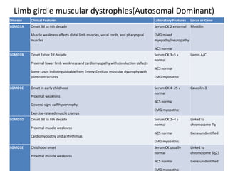 Limb girdle muscular dystrophies(Autosomal Dominant)
Disease Clinical Features Laboratory Features Locus or Gene
LGMD1A Onset 3d to 4th decade
Muscle weakness affects distal limb muscles, vocal cords, and pharyngeal
muscles
Serum CK 2 x normal
EMG mixed
myopathy/neuropathy
NCS normal
Myotilin
LGMD1B Onset 1st or 2d decade
Proximal lower limb weakness and cardiomyopathy with conduction defects
Some cases indistinguishable from Emery-Dreifuss muscular dystrophy with
joint contractures
Serum CK 3–5 x
normal
NCS normal
EMG myopathic
Lamin A/C
LGMD1C Onset in early childhood
Proximal weakness
Gowers' sign, calf hypertrophy
Exercise-related muscle cramps
Serum CK 4–25 x
normal
NCS normal
EMG myopathic
Caveolin-3
LGMD1D Onset 3d to 5th decade
Proximal muscle weakness
Cardiomyopathy and arrhythmias
Serum CK 2–4 x
normal
NCS normal
EMG myopathic
Linked to
chromosome 7q
Gene unidentified
LGMD1E Childhood onset
Proximal muscle weakness
Serum CK usually
normal
NCS normal
EMG myopathic
Linked to
chromosome 6q23
Gene unidentified
 