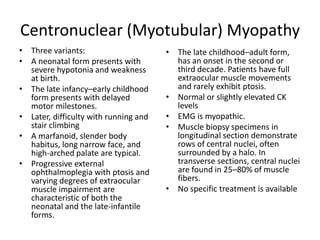 Centronuclear (Myotubular) Myopathy
• Three variants:
• A neonatal form presents with
severe hypotonia and weakness
at birth.
• The late infancy–early childhood
form presents with delayed
motor milestones.
• Later, difficulty with running and
stair climbing
• A marfanoid, slender body
habitus, long narrow face, and
high-arched palate are typical.
• Progressive external
ophthalmoplegia with ptosis and
varying degrees of extraocular
muscle impairment are
characteristic of both the
neonatal and the late-infantile
forms.
• The late childhood–adult form,
has an onset in the second or
third decade. Patients have full
extraocular muscle movements
and rarely exhibit ptosis.
• Normal or slightly elevated CK
levels
• EMG is myopathic.
• Muscle biopsy specimens in
longitudinal section demonstrate
rows of central nuclei, often
surrounded by a halo. In
transverse sections, central nuclei
are found in 25–80% of muscle
fibers.
• No specific treatment is available
 