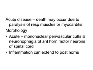 Acute disease – death may occur due to
paralysis of resp muscles or myocarditis
Morphology
• Acute – mononuclear perivascular cuffs &
neuronophagia of ant horn motor neurons
of spinal cord
• Inflammation can extend to post horns

 